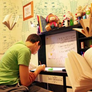 studying, exams, preparation-951818.jpg